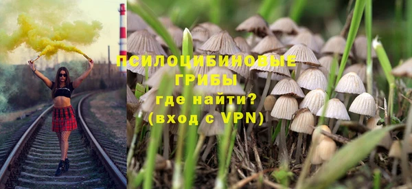 винт Алзамай