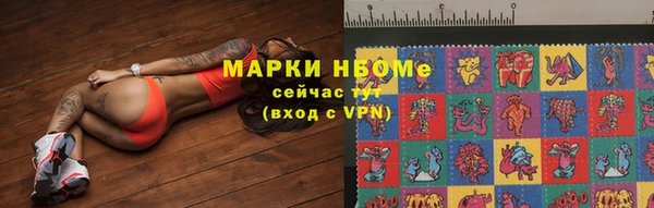 винт Алзамай