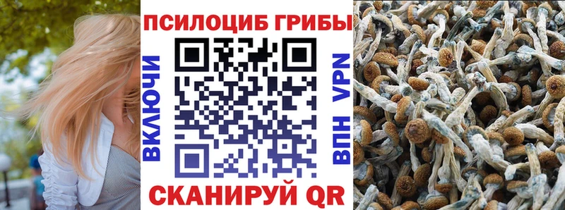 Галлюциногенные грибы мухоморы  Дедовск 