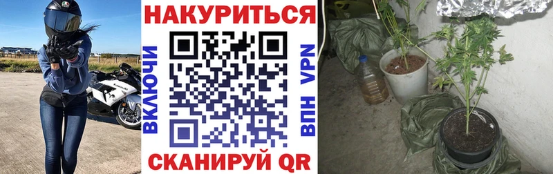 закладки  Дедовск  ссылка на мегу ССЫЛКА  Марихуана план 